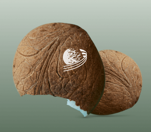 Substrat en fibre de coco utilisable pour votre agriculture